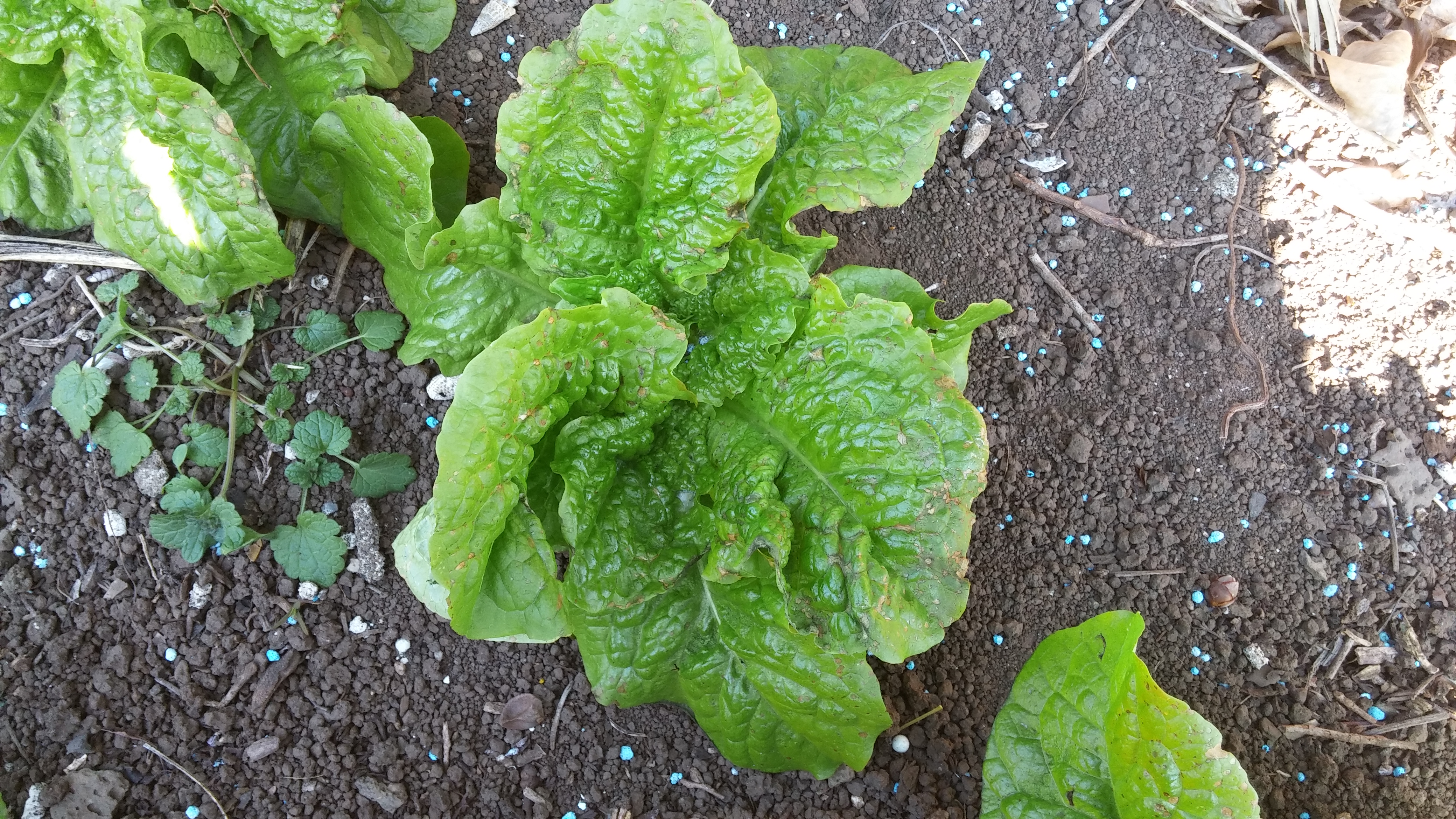 이렇게 된 원인을 알고 싶습니다.